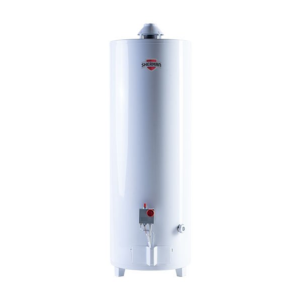 Termotanque A Gas De Pie 80 Litros